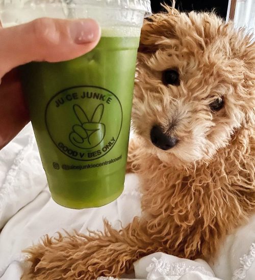 245691795_386784529826782_627877815713885712_n